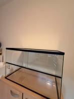 Hamster Terrarium met schuifruiten, Dieren en Toebehoren, Ophalen, Hamster