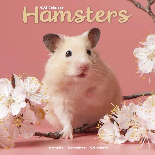 Calendrier Hamsters 2025, Divers, Calendriers, Neuf, Calendrier annuel, Enlèvement ou Envoi