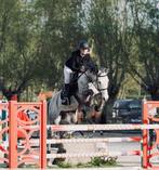 Springlessen op maat, Dieren en Toebehoren, Paarden