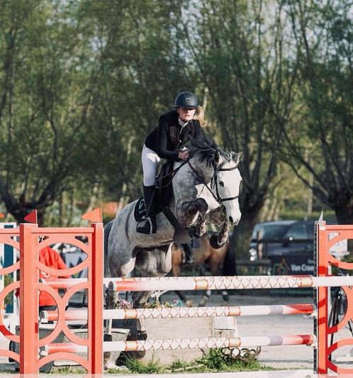 Springlessen op maat, Dieren en Toebehoren, Paarden