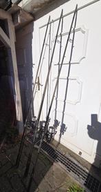 Daiwa 13ft hengels + vossenhaspel + schede, Watersport en Boten, Hengelsport | Karpervissen, Ophalen, Gebruikt, Complete set