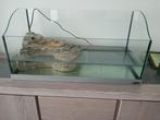 Aqarium     MET 2 KLEINE SCHILDPADJES, Dieren en Toebehoren, Ophalen, Zo goed als nieuw