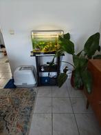 Superfish home 60 aquarium + standaard, Dieren en Toebehoren, Vissen | Aquaria en Toebehoren, Ophalen, Gebruikt, Leeg aquarium