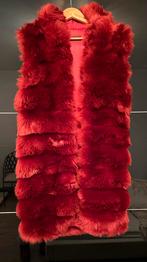 Lange jas bordeaux faux fur , mouwloos, maat 36/38, Nieuw, Maat 36 (S), Ophalen, Overige kleuren