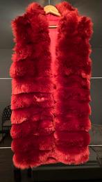 Lange jas bordeaux faux fur , mouwloos, maat 36/38, Kleding | Dames, Ophalen, Nieuw, Maat 36 (S), Overige kleuren