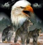 Peinture au diamant aigle oiseau 40x30cm (rond), Envoi, Neuf, Bricolage