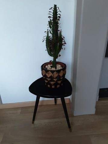 Retro  plantenstaander  !  beschikbaar voor biedingen