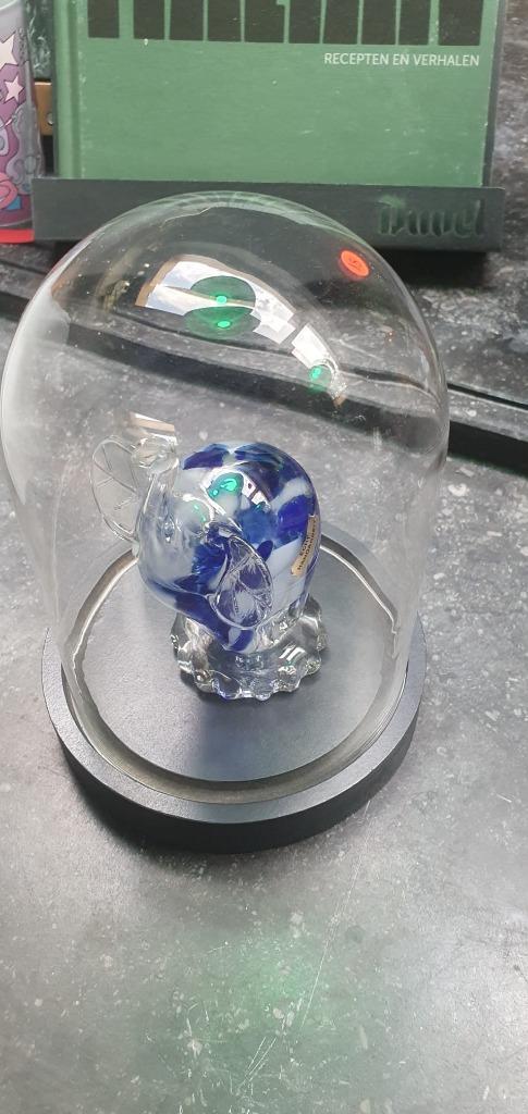 Prachtige glazen stolp met een blauw gekleurd olifantje, Huis en Inrichting, Woonaccessoires | Stolpen, Nieuw, Ophalen of Verzenden