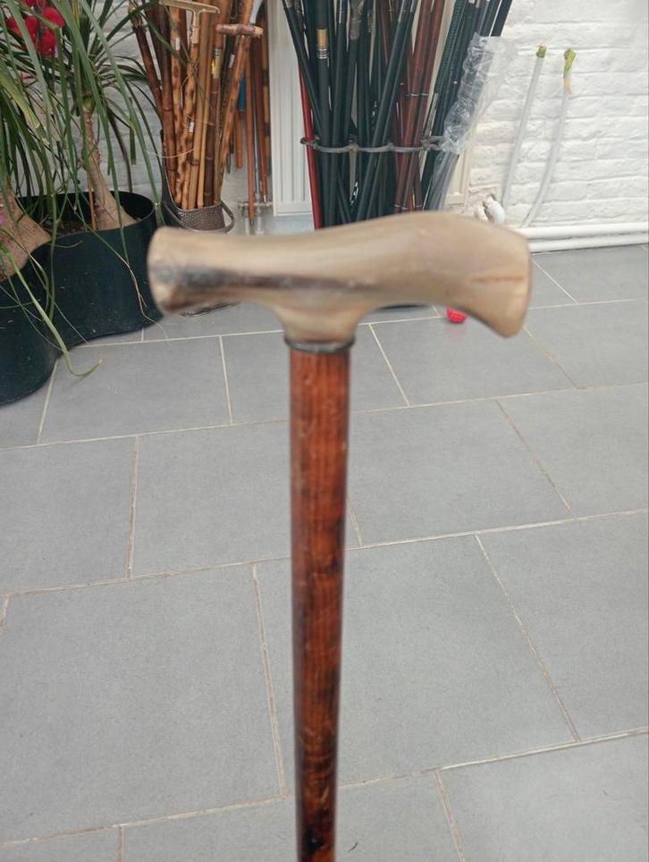 Hoornstok, Diversen, Wandelstokken, Ophalen of Verzenden
