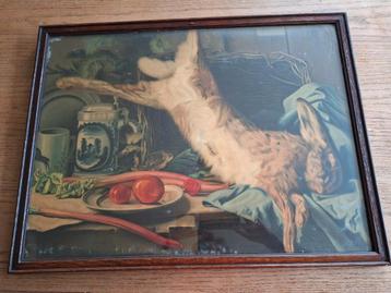 oude foto van haas. beschikbaar voor biedingen