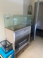 aquarium 150liter te koop, Dieren en Toebehoren, Ophalen, Gebruikt, Leeg aquarium