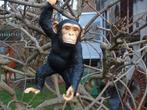 Beeld een chimpansee om op te hangen, perfecte imitatie, Tuin en Terras, Tuinbeelden, Ophalen of Verzenden, Nieuw, Kunststof, Dierenbeeld