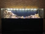 Groot aquarium 700L 240x50x60, Dieren en Toebehoren, Vissen | Aquaria en Toebehoren, Gebruikt, Leeg aquarium