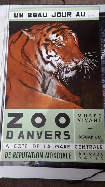 Zoo poster.