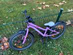 Roze kinderfiets Trek 20 inch – stoer en ready to ride!, Ophalen of Verzenden, Gebruikt, 20 inch of meer, Trek