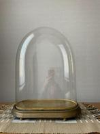 Ovale glazen stolp op houten sokkel, Ophalen, Gebruikt