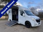 Opel Movano 2-paards paardenvrachtwagen MARGE B-rijbewijs, Dieren en Toebehoren, Paarden en Pony's | Trailers en Aanhangwagens