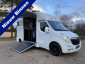 Opel Movano 2-paards paardenvrachtwagen MARGE B-rijbewijs beschikbaar voor biedingen