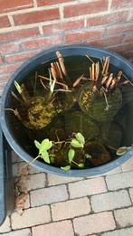 Twee vijver kuipen bieden, Tuin en Terras, Ophalen of Verzenden, Zo goed als nieuw