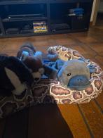 Knuffelbeertjes, Enlèvement