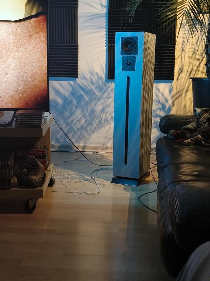 Paar Isophon Spirit in goede staat, Audio, Tv en Foto, Luidsprekerboxen, Ophalen