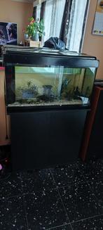 Aquarium complet 80 avec meuble, Dieren en Toebehoren, Vissen | Aquaria en Toebehoren, Ophalen of Verzenden, Gebruikt, Leeg aquarium