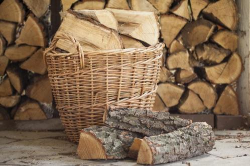 Hout / bomen om te zagen, Jardin & Terrasse, Bois de chauffage, Troncs d'arbres, Autres essences de bois, 3 à 6 m³, Enlèvement