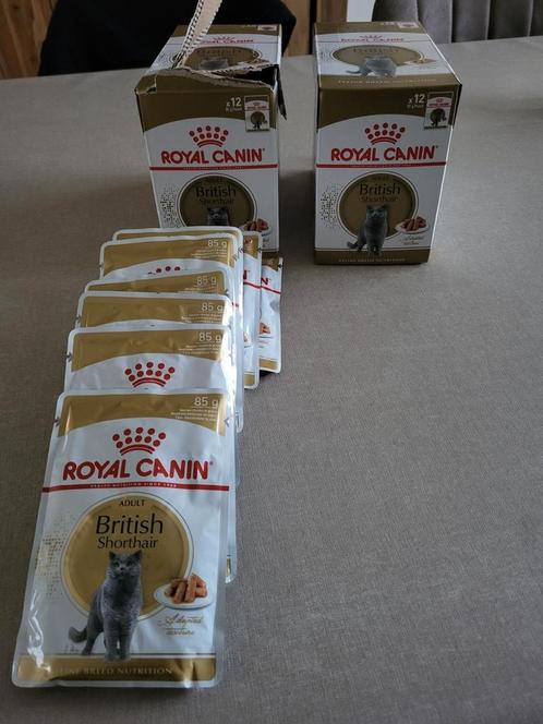 Royal canin british shorthair natvoer 20 zakjes, Animaux & Accessoires, Nourriture pour Animaux, Enlèvement ou Envoi