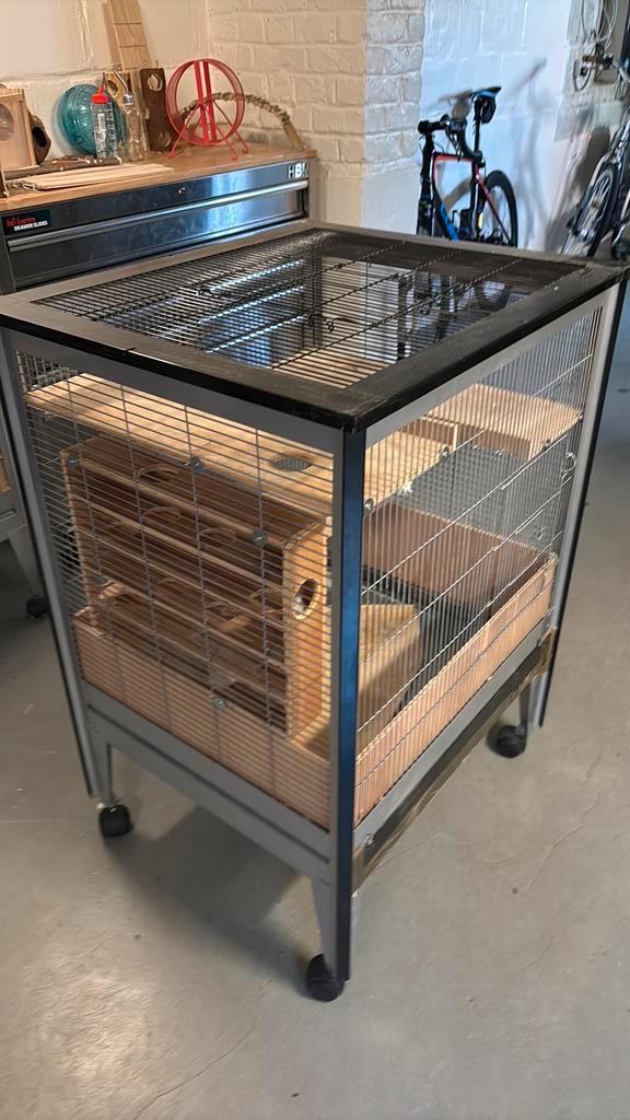 Kooi voor kleine knaagdieren + accessoires, Dieren en Toebehoren, Knaagdieren en Konijnen | Hokken en Kooien, Kooi, Ophalen