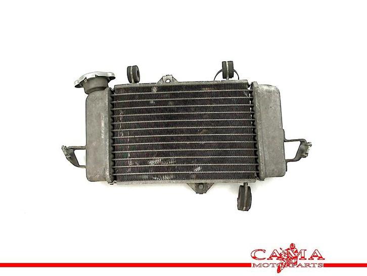 RADIATEUR YZF R125 2008-2013 (YZF-R125 YZFR125) (912181), Motoren, Onderdelen | Yamaha, Gebruikt