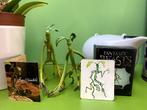 Harry Potter Bowtruckle figuurtjes, box, kaartje + magneet, Verzamelen, Harry Potter, Ophalen of Verzenden, Gebruikt, Beeldje of Buste