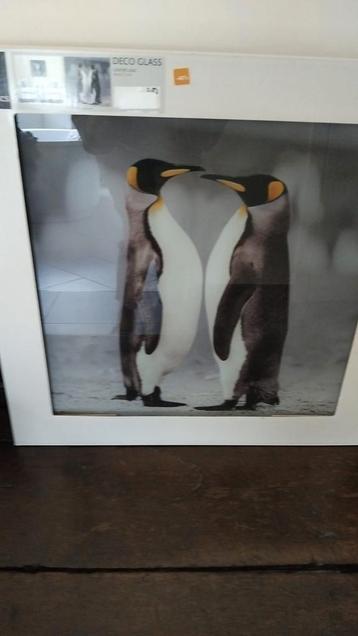 Glasschilderij pinguïns. Nog in verpakking. beschikbaar voor biedingen