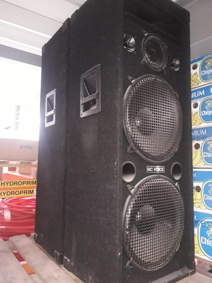 Luidsprekers DJ mc Voice 2x500W, Audio, Tv en Foto, Luidsprekerboxen, Zo goed als nieuw, Front, Rear of Stereo speakers, 120 watt of meer
