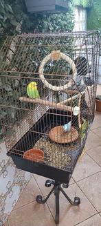 4 vogels + de kooi, Ophalen of Verzenden, Zo goed als nieuw