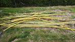Gratis bamboestokken, Tuin en Terras, Palen, Balken en Planken, Ophalen, Nieuw, 250 cm of meer, Palen