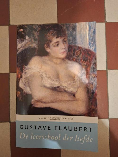 Gustave Flaubert - De leerschool der liefde, Livres, Littérature, Comme neuf, Enlèvement ou Envoi