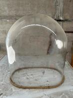 Glazen stolp, Ophalen of Verzenden, Gebruikt, Glas