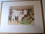 Gravure colorée représentant une vache dans l'étable - Edvi, Antiquités & Art, Art | Eaux-fortes & Gravures, Envoi