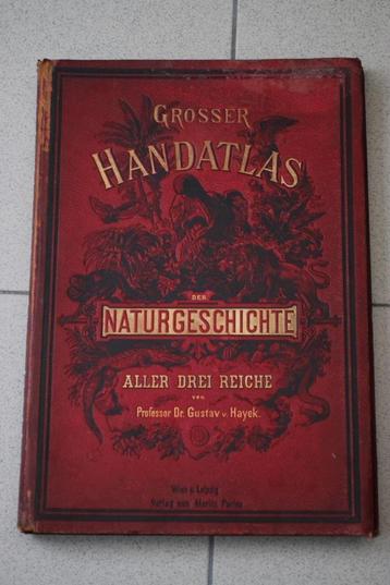 Atlas 1884 zoologie, botanique, minéralogie Hayek chromo