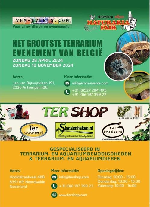 Naturaria Fair Antwerpen 28-04-2024, Animaux & Accessoires, Reptiles & Amphibiens