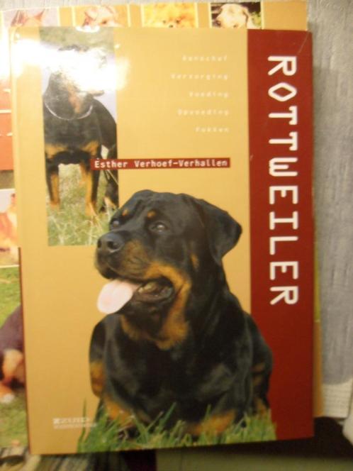 rottweiler, Livres, Animaux & Animaux domestiques, Comme neuf, Chiens, Enlèvement ou Envoi