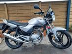 Yamaha YBR 125, Particulier