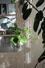 Cintre pour plantes Disco Ball, Jardin & Terrasse, Enlèvement ou Envoi