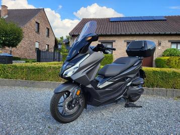 Honda Forza 350 beschikbaar voor biedingen