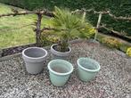Pots de fleurs, Tuin en Terras, Ophalen, Gebruikt