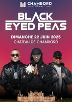 Concert Black Eyed Peas (France)