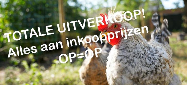 Diatomeeënaarde, drink- en voederbakken. Nergens goedkoper., Dieren en Toebehoren, Pluimvee, Kip