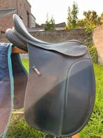 dressage Wintec, Animaux & Accessoires, Enlèvement, Dressage