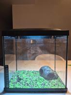 Aquarium, Animaux & Accessoires, Poissons | Aquariums & Accessoires, Enlèvement, Utilisé, Aquarium vide