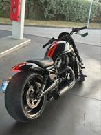 1/1 custom build harley davidson night rod, Motoren, Chopper, Particulier, Meer dan 35 kW